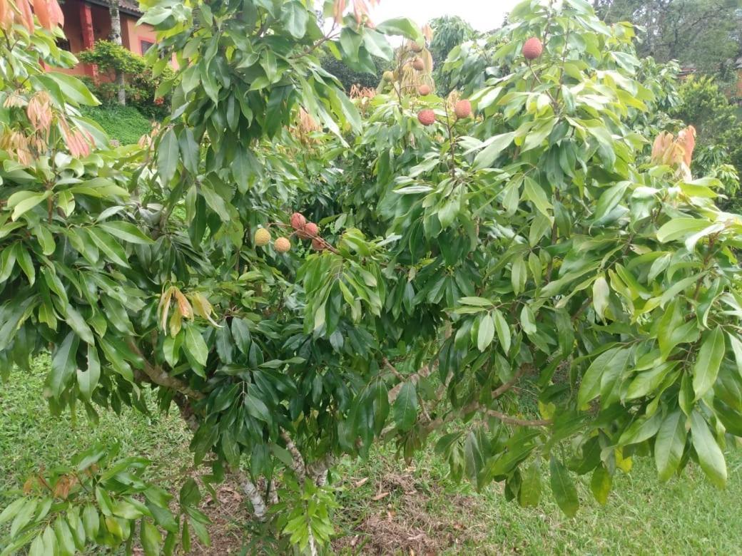 Pousada Recanto Aguas Vivas Turvo dos Gois Exteriér fotografie