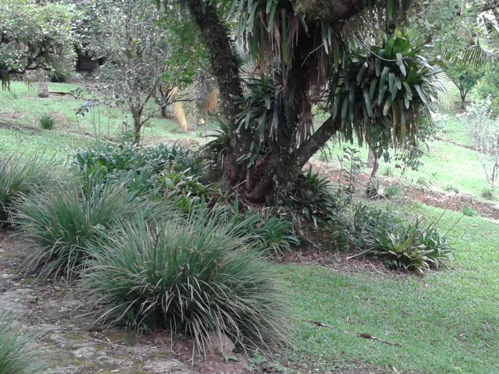 Pousada Recanto Aguas Vivas Turvo dos Gois Exteriér fotografie